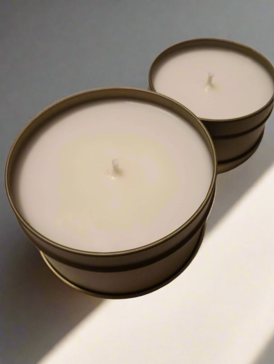 Spicy Plain Jane E.M. Zensations